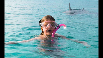 Shark Attack Bahamas, Girl thinks shark is a dolphin