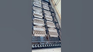 Egg Carton Making Machine with Metal Dryer #machine