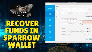 How To Recover Funds In Sparrow Wallet 2026?