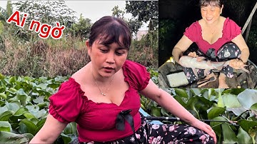 Ai ngờ cá to ngay gần nhà, làm được bữa cơm ngon bá cháy @chautranlong4533