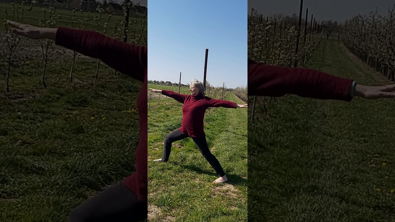 De tweede heldenhouding of Virabhadrasana II