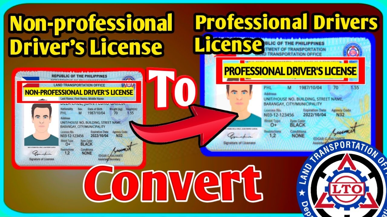 CHANGE CLASSIFICATION _ Convert Non-professional Drivers License ...