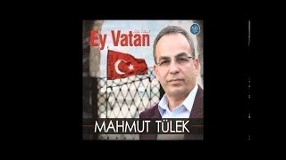 Mahmut Tülek Dik Dur Eğilme