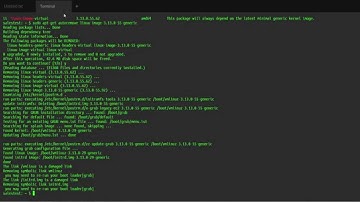 solved how to manually remove old kernels ubuntu