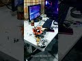 vfx dragon on table...