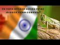 kaappaan movie scene comes true | locust attack  | Bigger threat than corona? | टिड्डी का हमला