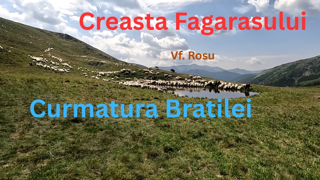 Vf.Comisu~Curm.Bratilei~Mezea~Oticu~Vf.Rosu.Part1 Comisu~Curm.Bratilei-Montare Platforma Ref Infosan