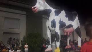 carnavales en Speluzzi la pampa parte 7