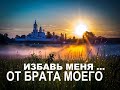 ИЗБАВЬ МЕНЯ ОТ БРАТА МОЕГО  - Вячеслав Бойнецкий