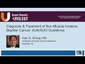 Diagnosis & Treatment of Non-Muscle Invasive Bladder Cancer: AUA/SUO Guidelines