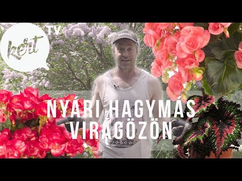 Videó: Ogorod.org - Magok, Virágok és áruk Tárolása Egy Nyári Rezidenciához