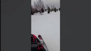 Снегоход Lynx Xterrain 900 ACE Turbo - фффристайло)