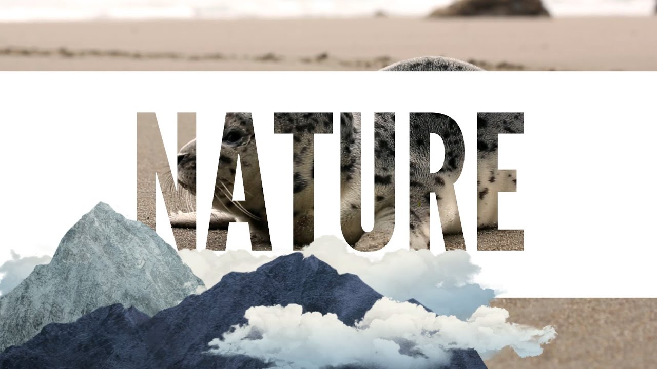 Nature | BD Jast | Music for Nature (4K) | - YouTube