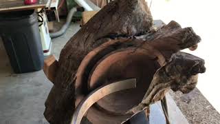 Wood-turning Black walnut Driftwood