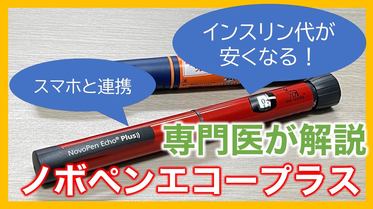 ノボリンNリーフレット