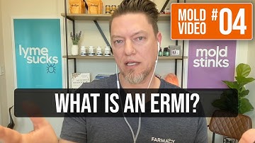 What is an ERMI?