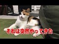 それは突然やって来た