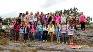 Lia 2. periode 2012