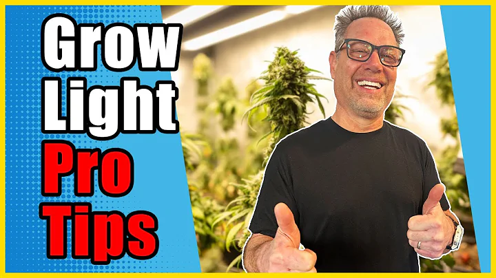 Don't Buy New LED Lights For Your Cannabis Grow Until You Know This