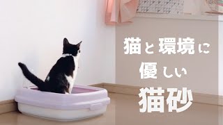 【おすすめ猫砂】鉱物系 → おから → 最強な猫砂発見