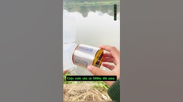 Cuộc cước câu cá 500m đổi màu #cauca #fishing