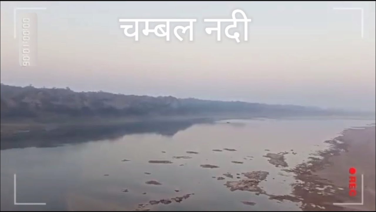 YouTube Shorts #  CHAMBAL RIVER  |  CHAMBAL KI GHATI