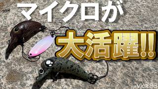【エリアトラウト】コレは釣れる!!マイクロルアーが大活躍!!【川場フィッシングプラザ】