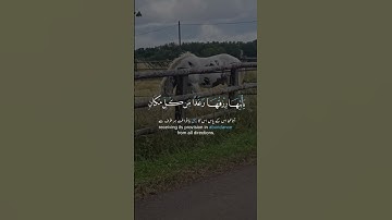 سورة النحل آية ١١٢.  Sourate An-Nahl Verset 112 #islam