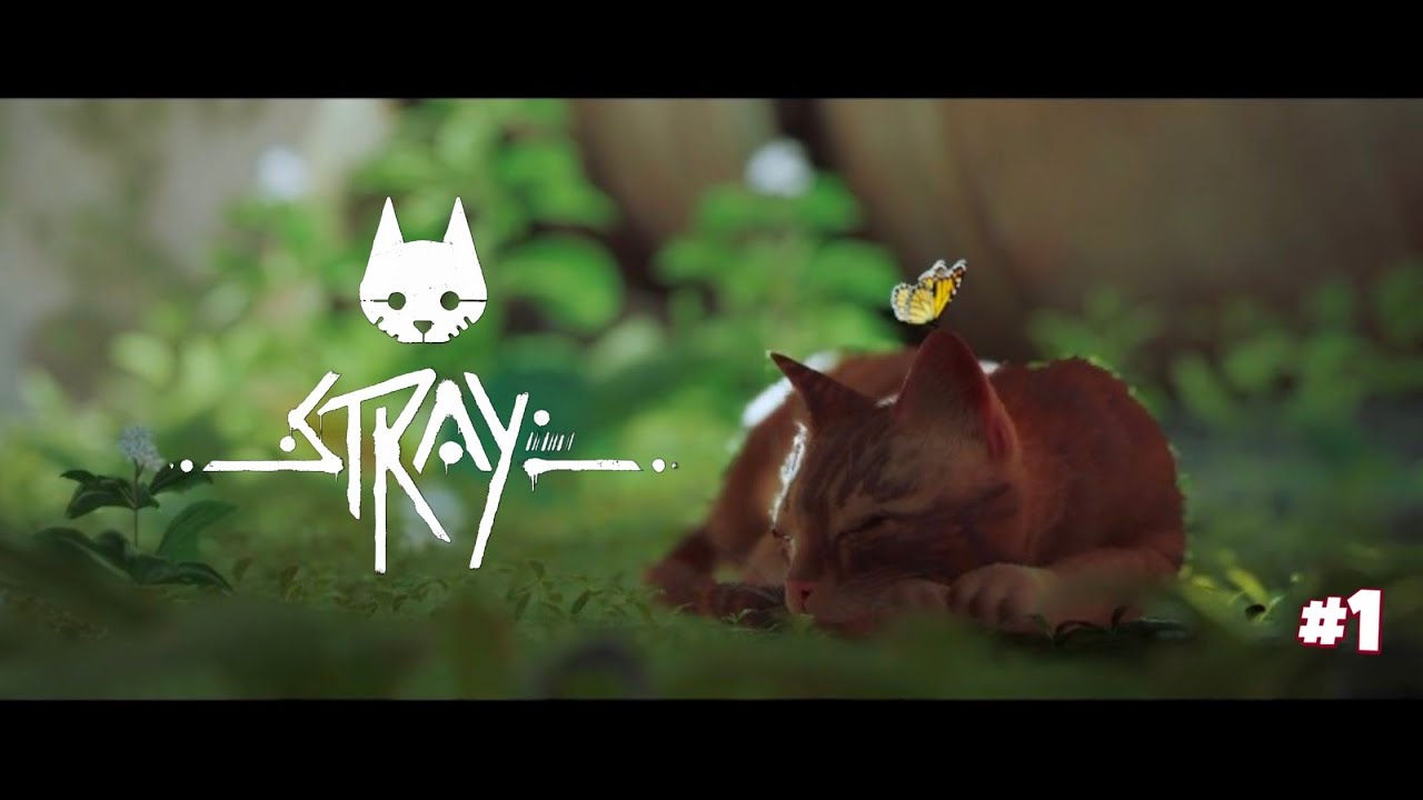 THE CAT ADVENTURE BEGINS 🐱 || HINDI GAMEPLAY 🔥