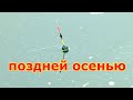 Трудовой поплавок в конце осени. Рыбалка на маховую удочку в ноябре. Лоля рыбы осенью на удочку