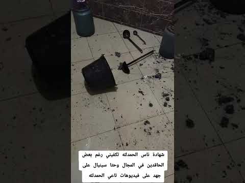 شهادة ناس تكفيني الي جا وشاف مباشرة ماشي بحال الي سمع