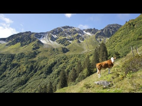 Видео: Страхотни еднодневни екскурзии от Цюрих