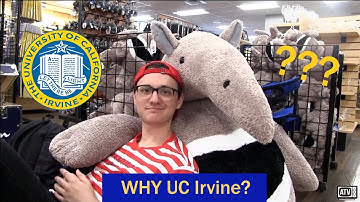 Ask an Anteater: Why UC Irvine?
