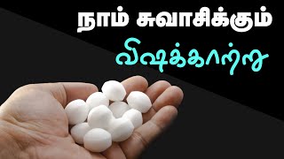 Are Naphthalene Balls Bad for Your Health | 24 Tamil Health