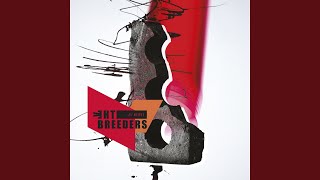 Video thumbnail of "The Breeders - Walking with a Killer"