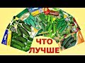 КАК выбрать СЕМЕНА ОГУРЦОВ? Какой сорт лучше?