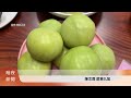 「冰淇淋果」白柿上市 果肉超甜.價格又親民【客家新聞20260522】