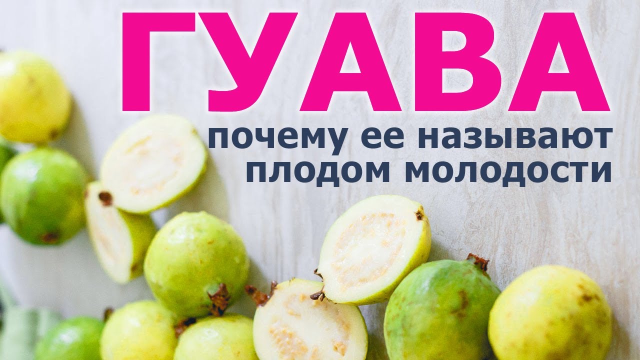 Полезные свойства гуавы и её сока – противопоказания для женщин