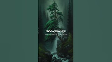 من يعرف اسم القارئ؟