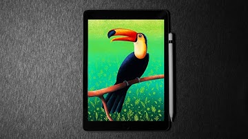 Toucan bird 🐦procreate illustration