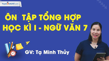 Ôn tập tổng hợp học kì I – Ngữ văn 7 – cô Tạ Minh Thủy