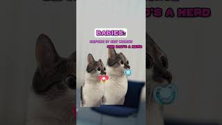 Naming Kids in 2045 😭 - PART2  [REUPLOAD] (CAT MEMES🐈) @JosiahSchneider #shorts