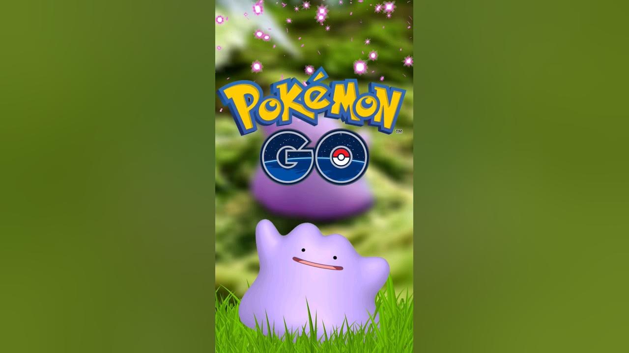 All the Pokémon ditto can transform into in Pokémon go August 2 2023｜TikTok  Search