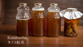 Kombucha】 コンブチャ（紅茶キノコ）作り方【JAPANESE FOOD COOKING
