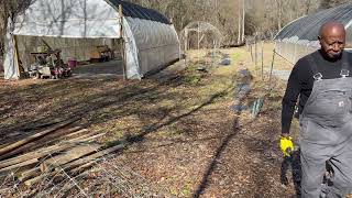 Carries Garden Prepares For Spring - Clean Up Effort After Hurricane Helene