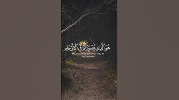 #آيات #قرآن #لايك #قرانكريم #قران_كريم #راحة_نفسية #قران #quran #islam