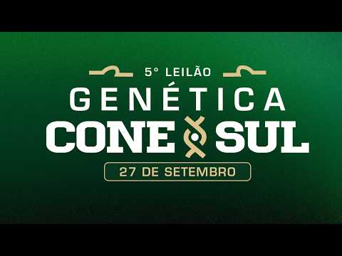 LOTE 22