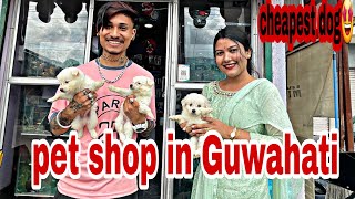 pet store in Guwahati||dog|fish||[vlog47]||inkaddicted