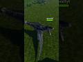 Allosaurus Vs Dinos : Jurassic Blocky Attack revamp! #phonk #roblox #jurassicblocky