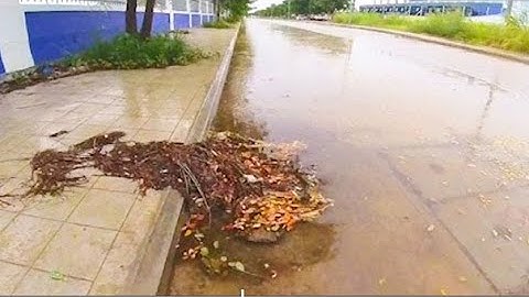 Remove Flood Rain On Road To Culvert Drain #unclogging #unclog #drain #cleanwater #remove #clean